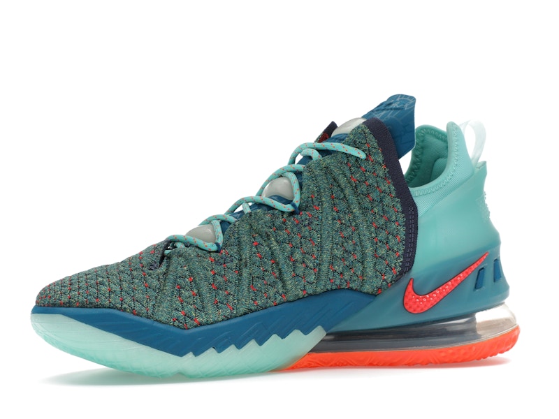 Nike LeBron 18 We Are Family