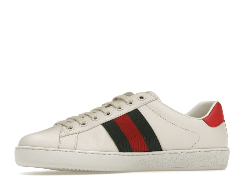 Gucci Ace Freya Hartas