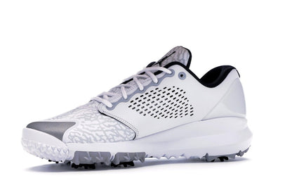 Jordan Trainer ST G White Wolf Grey