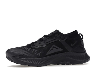 Nike Pegasus Trail 3 Gore-Tex Black Dark Smoke Grey