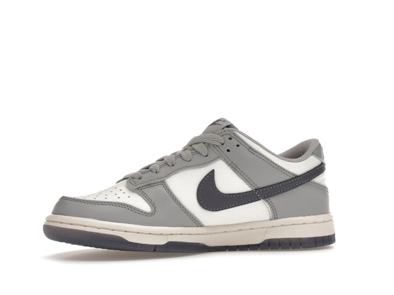 Nike Dunk Low Platinum Tint Light Carbon (GS)
