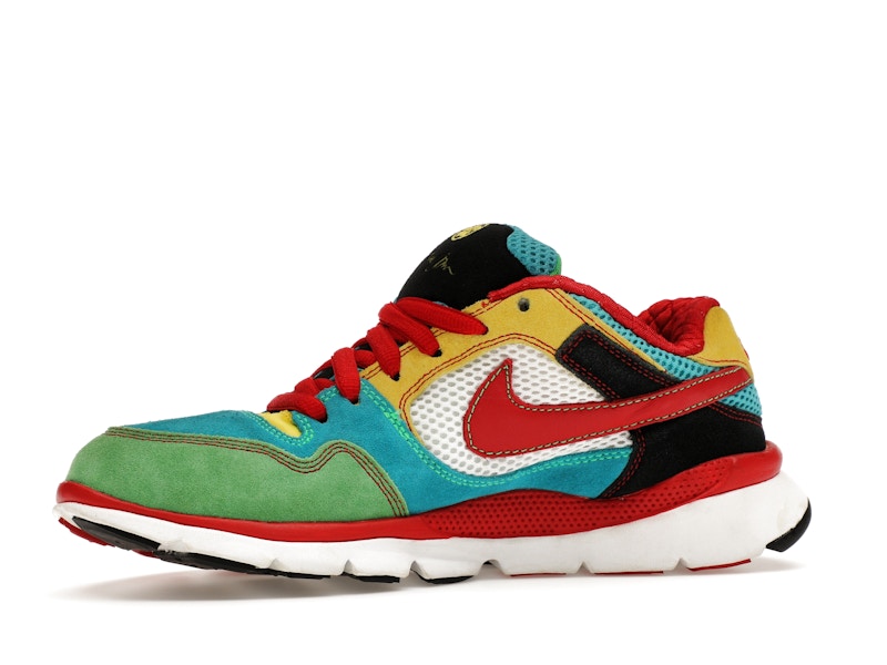 Nike Free Rod Plus Multicolor