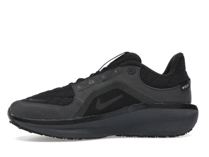 Nike Winflo 11 Gore-Tex Black Anthracite