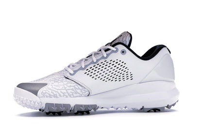 Jordan Trainer ST G White Wolf Grey