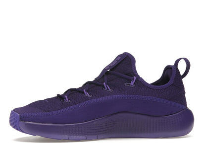 Nike LeBron TR 1 Purple Rain
