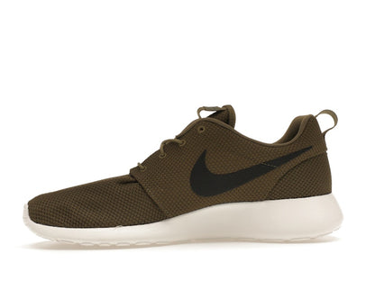 Nike Roshe Run Iguana