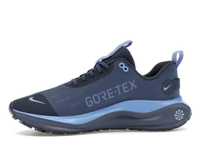 Nike React Infinity Run 4 Gore-Tex Thunder Blue Diffused Blue Royal Pulse Metallic Red Bronze (Women's)