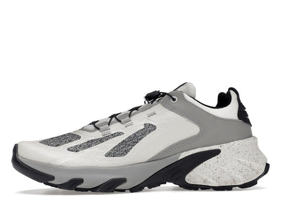 Salomon Speedverse PRG Nimbus Cloud Alloy