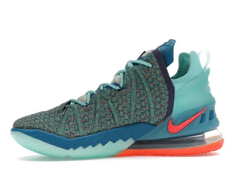 Nike LeBron 18 We Are Family