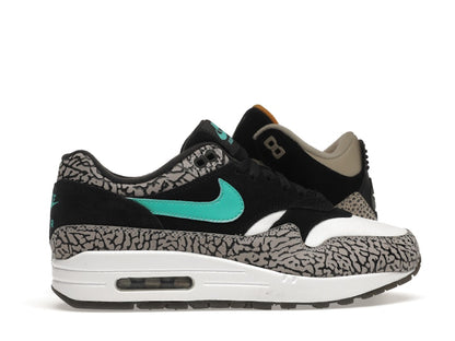 Jordan 3 Retro & Nike Air Max 1 atmos Pack