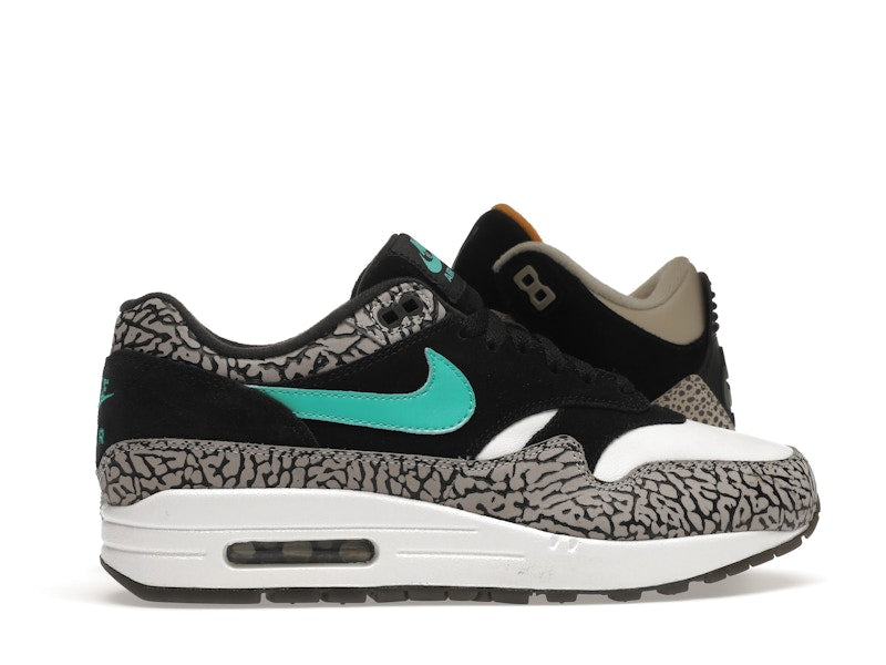 Jordan 3 Retro & Nike Air Max 1 atmos Pack