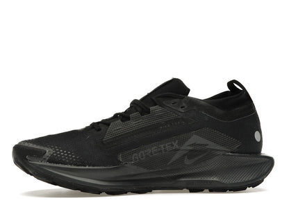 Nike React Pegasus Trail 5 Gore-Tex Black Anthracite