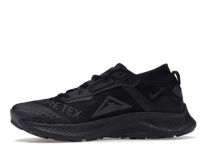 Nike Pegasus Trail 3 Gore-Tex Black Dark Smoke Grey