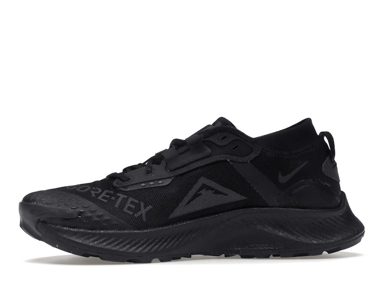 Nike Pegasus Trail 3 Gore-Tex Black Dark Smoke Grey