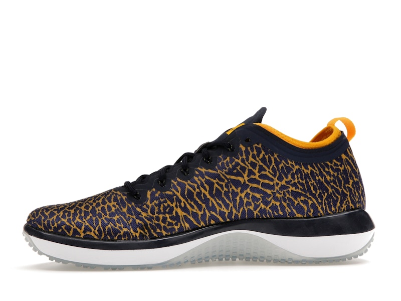 Jordan Trainer 1 Low Michigan