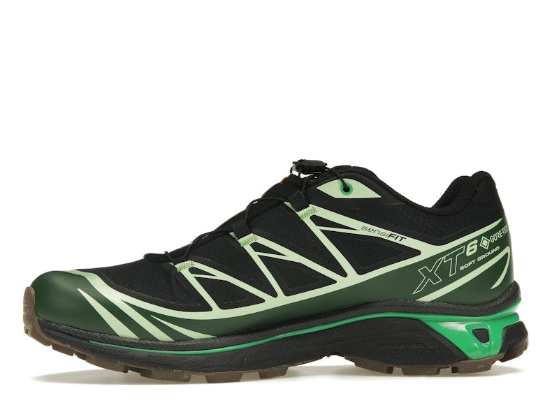 Salomon Advanced XT-6 Gore-Tex Eden Green Ash
