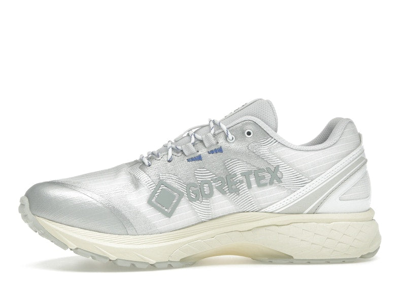 ASICS Gel-Terrain Gore-Tex White Pure Silver