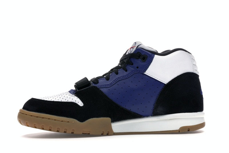 Nike SB Air Trainer 1 Polar Skate Co