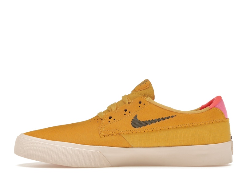 Nike SB Shane T Pollen