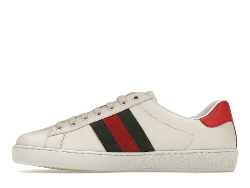 Gucci Ace Freya Hartas