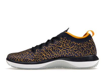 Jordan Trainer 1 Low Michigan