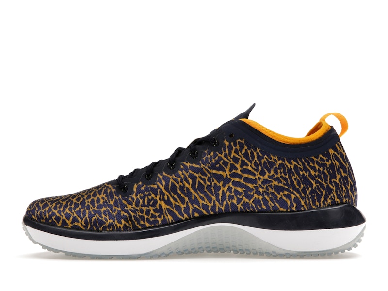 Jordan Trainer 1 Low Michigan