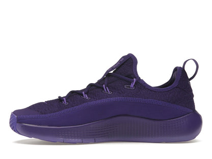 Nike LeBron TR 1 Purple Rain