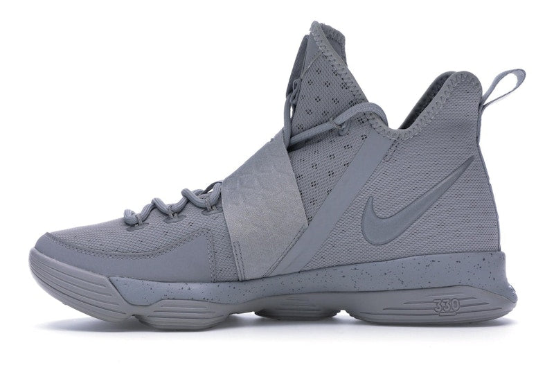 Nike LeBron 14 Silver