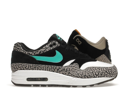Jordan 3 Retro & Nike Air Max 1 atmos Pack