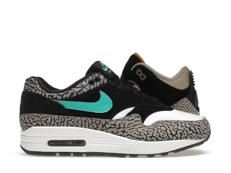 Jordan 3 Retro & Nike Air Max 1 atmos Pack