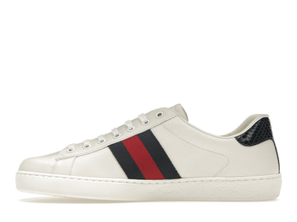 Gucci Ace Blue
