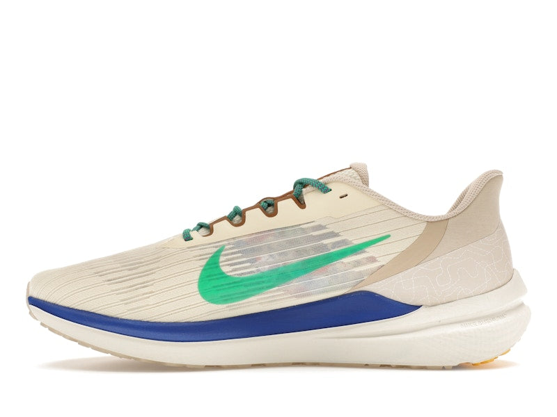 Nike Winflo 9 Premium Nike Moving Company