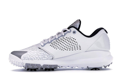 Jordan Trainer ST G White Wolf Grey