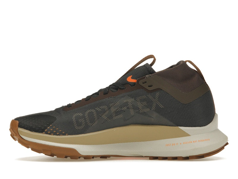 Nike Pegasus Trail 4 Gore-Tex Anthracite Ironstone