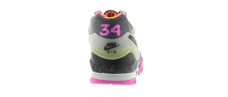 Nike Air Trainer III Bo Knows Horse Racing