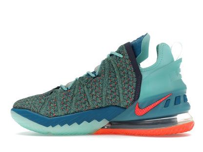 Nike LeBron 18 We Are Family