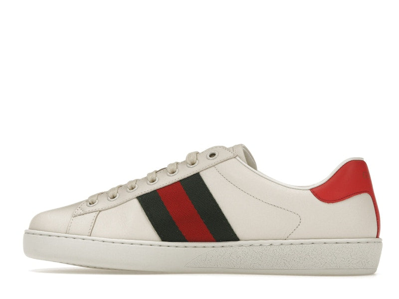 Gucci Ace Freya Hartas