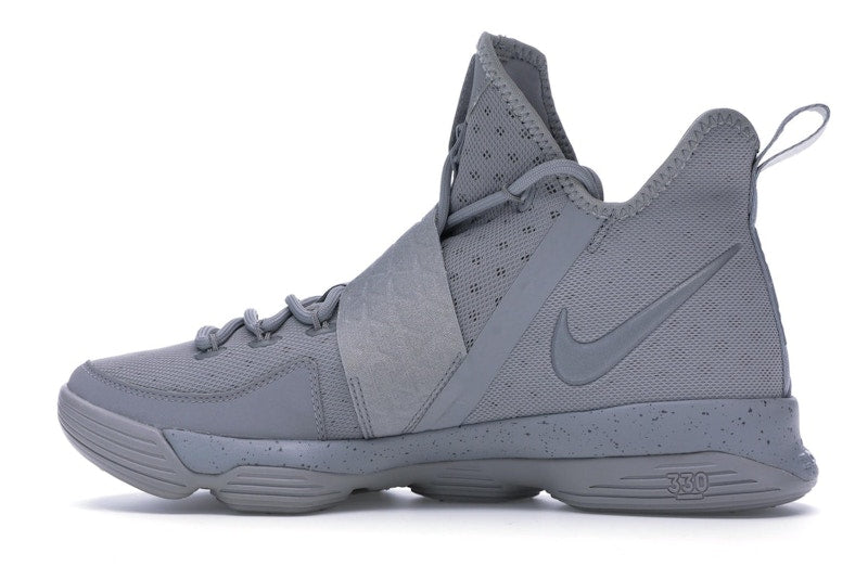 Nike LeBron 14 Silver