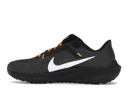 Nike Pegasus 40 Pittsburgh Steelers