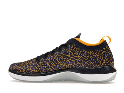 Jordan Trainer 1 Low Michigan