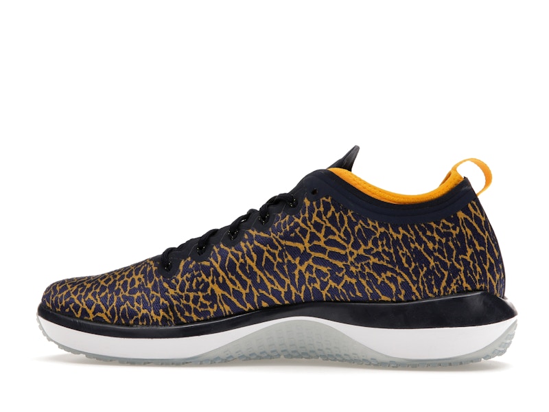 Jordan Trainer 1 Low Michigan