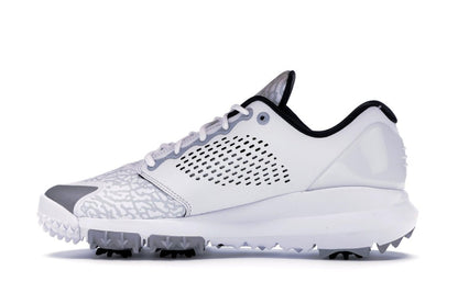 Jordan Trainer ST G White Wolf Grey