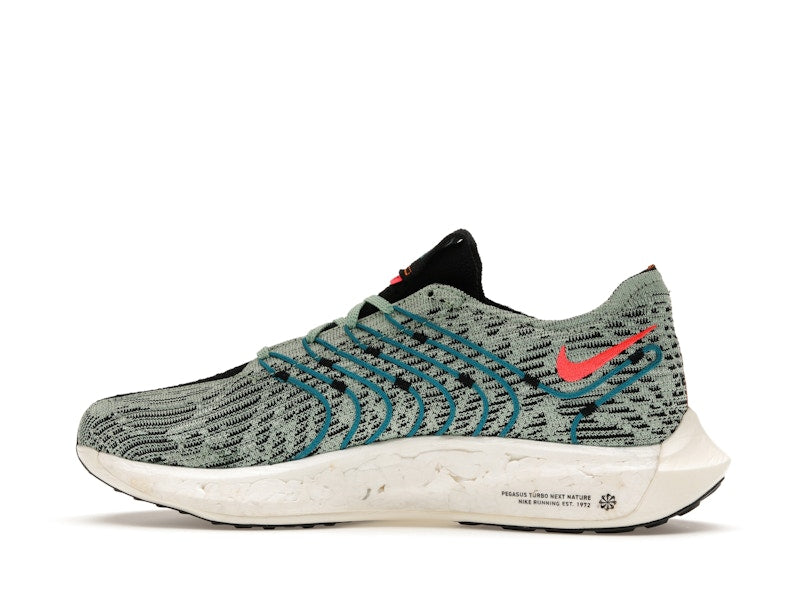 Nike Pegasus Turbo Next Nature 5 Borough Tour