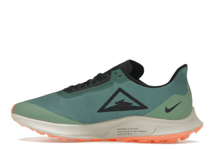 Nike Zoom Pegasus 36 Trail Gore-Tex Bicoastal (Women's)