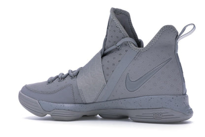 Nike LeBron 14 Silver