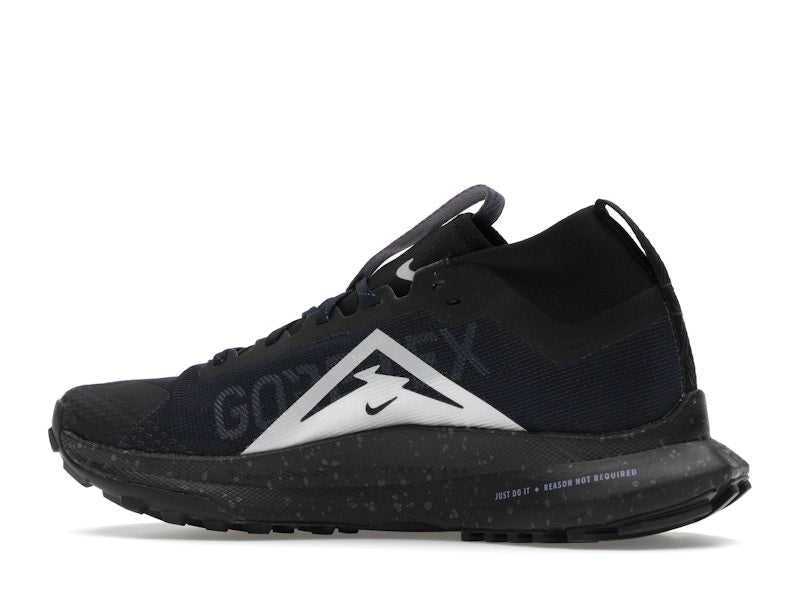 Nike Pegasus Trail 4 Gore-Tex Dark Obsidian Metallic Silver (Women's)