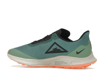 Nike Zoom Pegasus 36 Trail Gore-Tex Bicoastal (Women's)