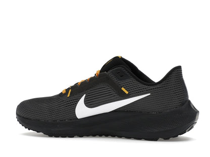 Nike Pegasus 40 Pittsburgh Steelers