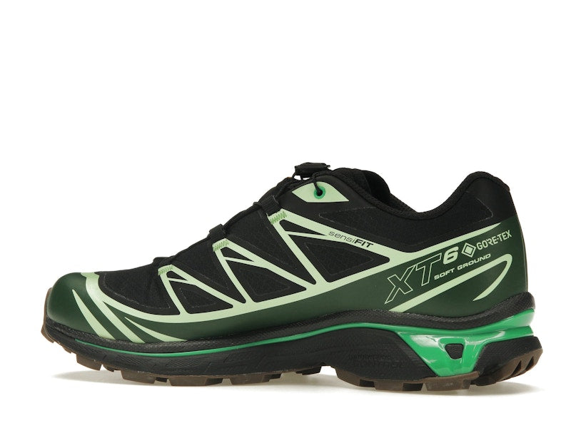 Salomon Advanced XT-6 Gore-Tex Eden Green Ash