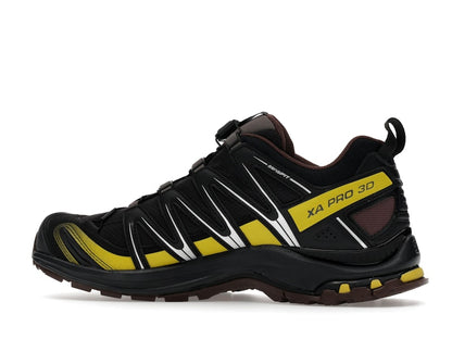 Salomon XA Pro 3D Gore-Tex Cress Green French Roast